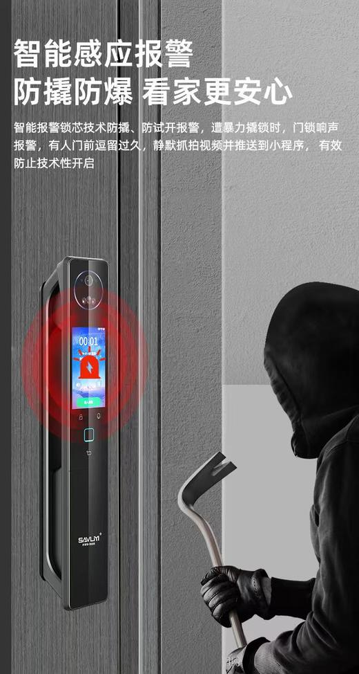 【萨莱明】智能锁_密码·指纹·卡片·人脸·手机·钥匙6种开锁方式_问智S3【佛山】【存量】 商品图2