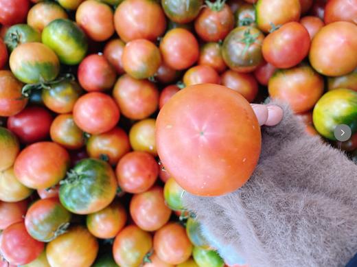 草莓柿子2斤 商品图2