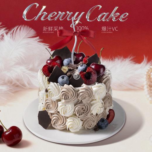 4英寸车厘子动物奶油分享蛋糕4选1 商品图1