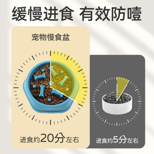 宠物慢食碗 防噎缓食 小中大型犬通用 21*18*4.5cm 商品图3