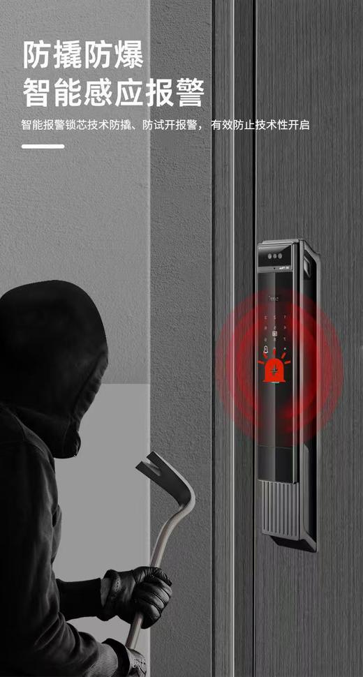 【萨莱明】智能锁_密码·指纹·卡片·人脸·手机·钥匙6种开锁方式_R39D【佛山】【存量】 商品图1