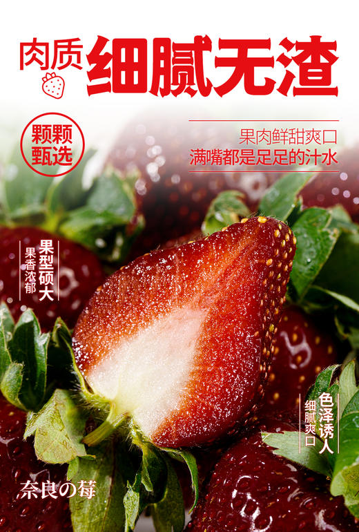 真红美玲黑草莓 商品图7