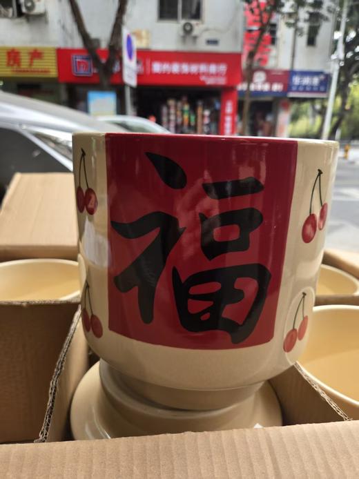 新年福财陶瓷盆 商品图0