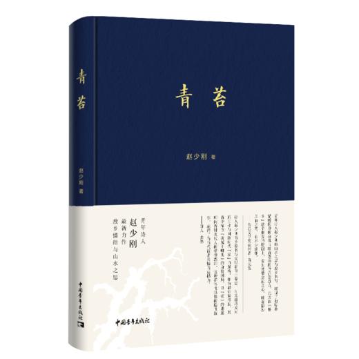 青苔 一个诗人的顿悟 赵少刚 著 中国青年出版社 商品图2