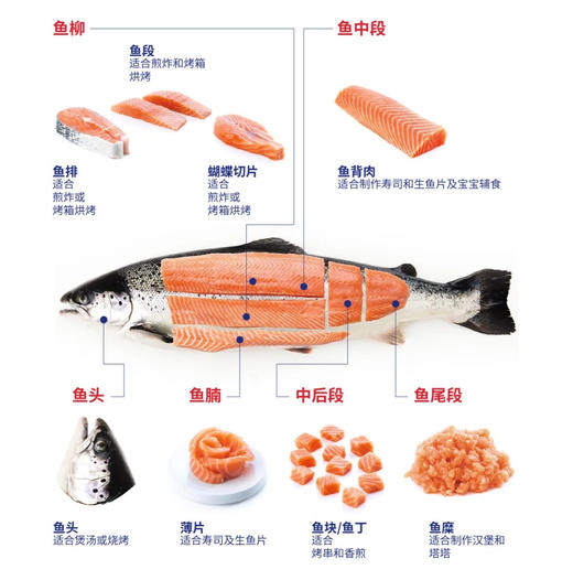 大西洋进口三文鱼 商品图5