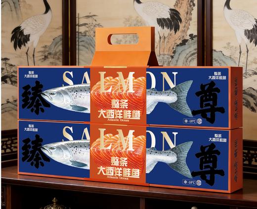 大西洋进口三文鱼 商品图13