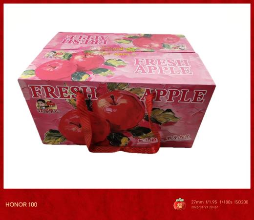 苹果9.5斤 商品图0