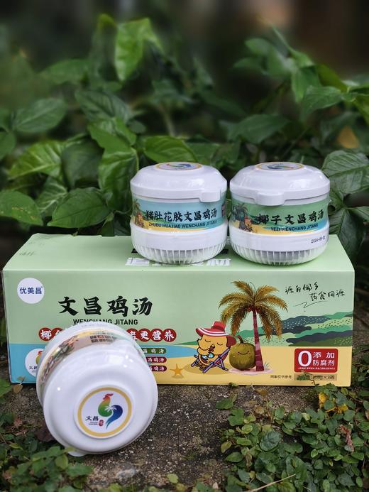 3种口味一次尝鲜✨汤汁鲜甜肉嫩滑，暖胃又满足！海南文昌鸡汤/即食自嗨汤/3个味礼盒装 商品图1