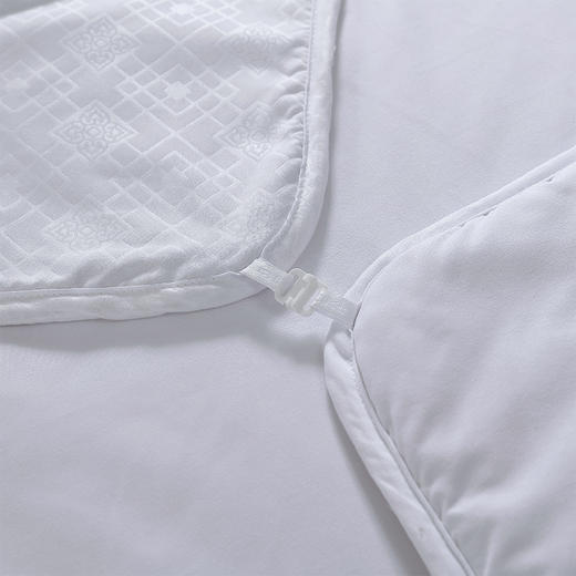 【安徽航食春节慰问】馨典蚕丝羊毛子母被BYYM606 商品图4