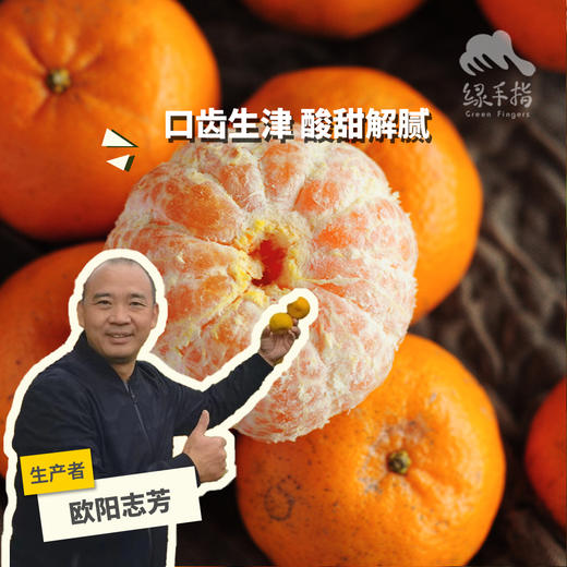 生态永春芦柑 （中通快递）| 合作生产*Eco-Citrus | Coproduction 商品图0