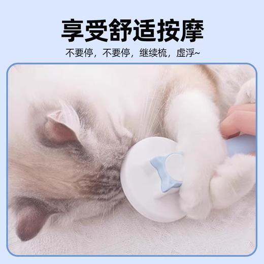 宠物梳毛专用梳子祛毛跳蚤浮毛梳（单拍不发，随单满49包邮） 商品图3