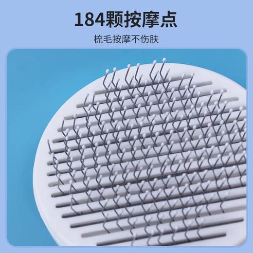 宠物梳毛专用梳子祛毛跳蚤浮毛梳（单拍不发，随单满49包邮） 商品图1