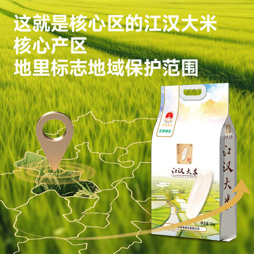 【严选】湖北好粮油 一级鲜米 中磐王家粮仓江汉大米（米雅款） 5kg/袋（厂家直发） 商品图1