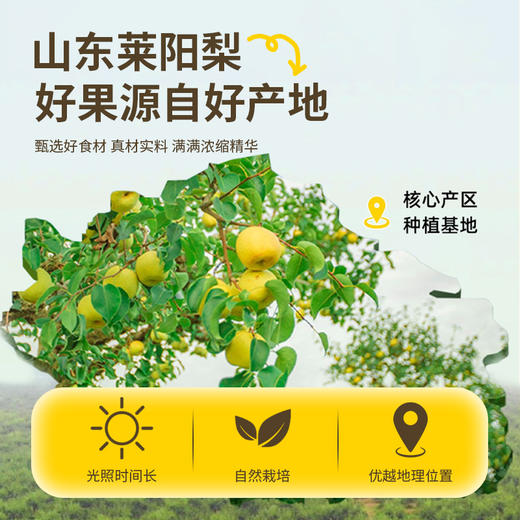 正安优选·慈梨麦冬百合棒棒糖  甜而不腻12颗/盒 商品图1