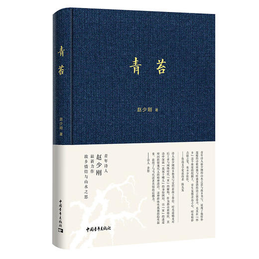 青苔 一个诗人的顿悟 赵少刚 著 中国青年出版社 商品图1