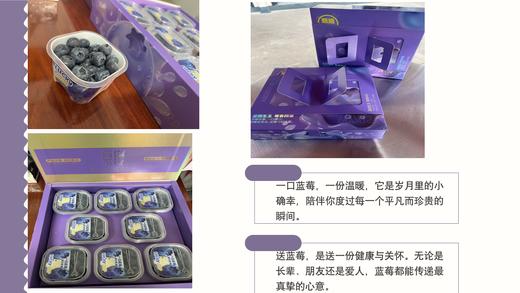 云南高山蓝莓L25花香蓝莓（400g  /800g） 商品图3