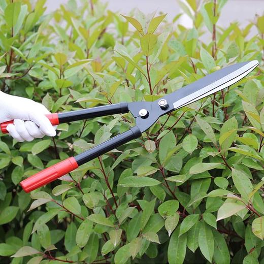 【仅限自提】出口品质 重型锰钢园艺剪刀 大号绿植花卉修枝剪刀 商品图1