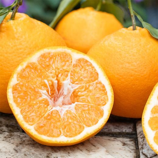 四川眉山春见耙耙柑 商品图0