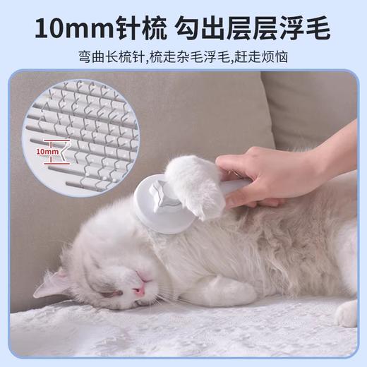 宠物梳毛专用梳子祛毛跳蚤浮毛梳（单拍不发，随单满49包邮） 商品图4