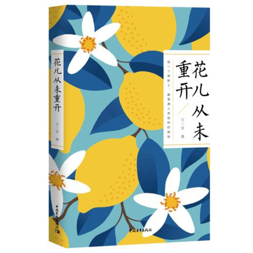 花儿从未重开 新青年诗人文库 王二冬 著 中国青年出版社 商品图2