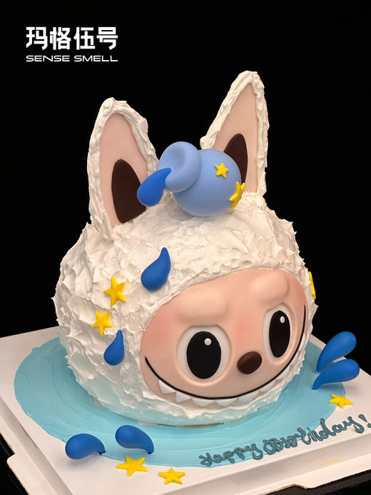 2026水瓶座-B款（请提前1天预订） 商品图2