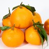 四川眉山春见耙耙柑 商品缩略图2