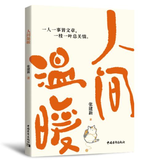 人间温暖 张建新 著 中国青年出版社 商品图2