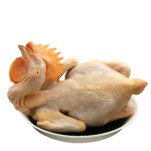 【直送到家】699型伊犁天山草原鸡（鸡宴） 真原切 不注水 商品图1