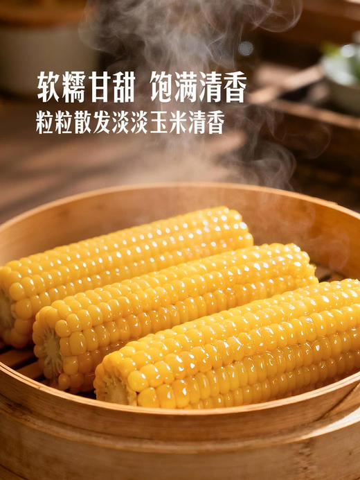 【自提】长白山糖心糯玉米2.58KG 商品图2