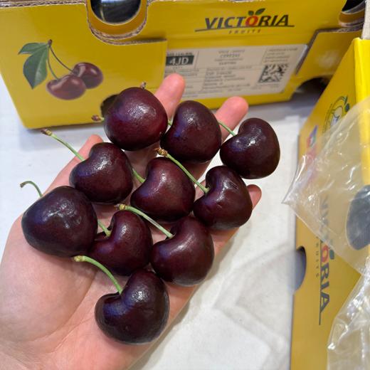 四JJJJ 拉宾斯车厘子巨大果  商品图1