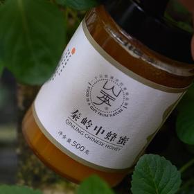 山季秦岭中蜂蜜