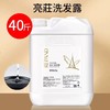 亮荘洗发水沐浴露大容量理发店酒店发廊专用补充装大桶商用沐浴乳 商品缩略图2