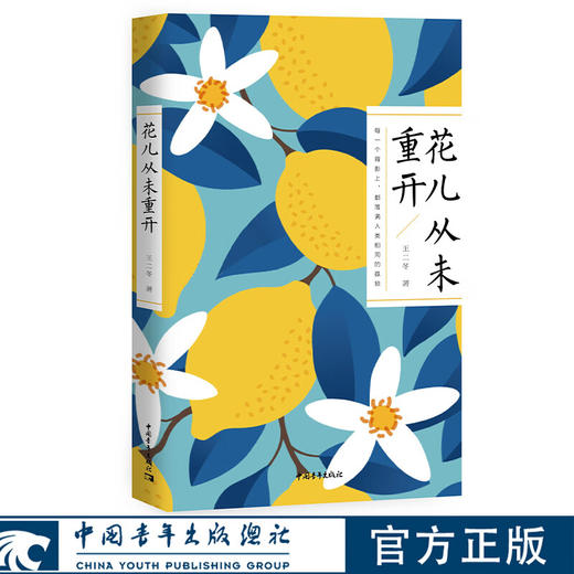 花儿从未重开 新青年诗人文库 王二冬 著 中国青年出版社 商品图0