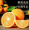 【快递】江西赣州脐橙10斤礼盒装 商品缩略图3