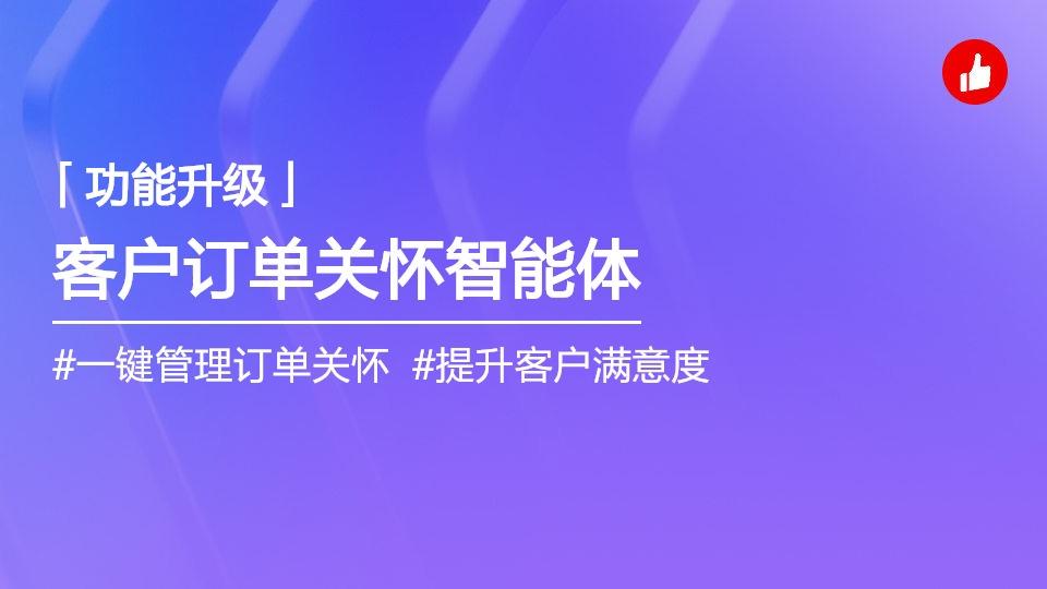 客户订单关怀智能体