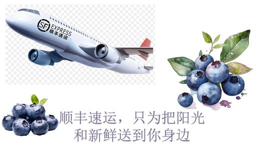 云南高山蓝莓L25花香蓝莓（400g  /800g） 商品图9