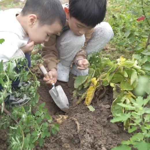 三月活动｜有机树屋共建招募 | Farm activities 商品图13