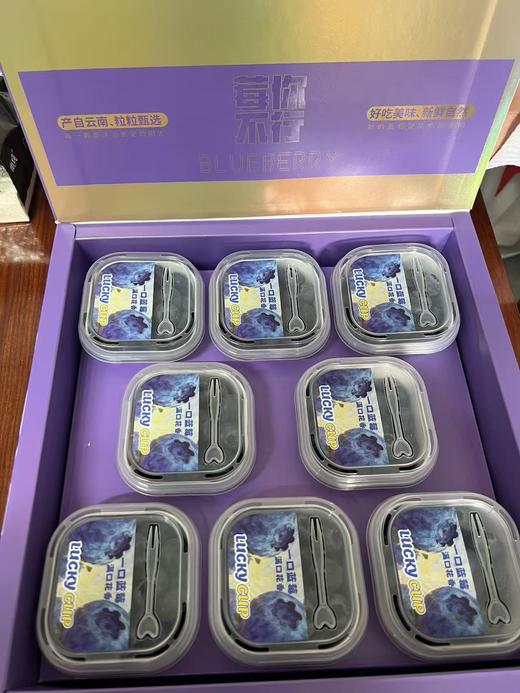 云南高山蓝莓L25花香蓝莓（400g  /800g） 商品图2
