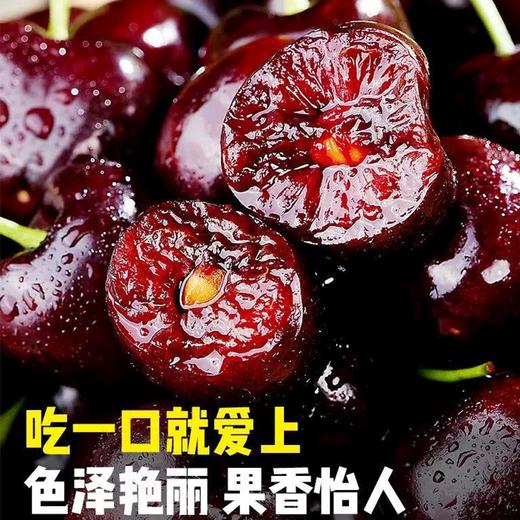 车厘子【JJ】 商品图0