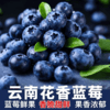 云南花香蓝莓 商品缩略图0