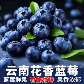云南花香蓝莓