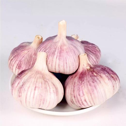 山东蒜头 200g～250g 买放心菜就上瑞和泰 商品图0