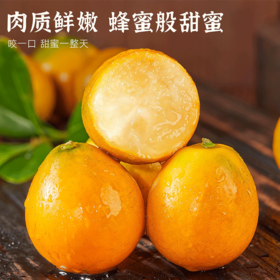 脆蜜金柑