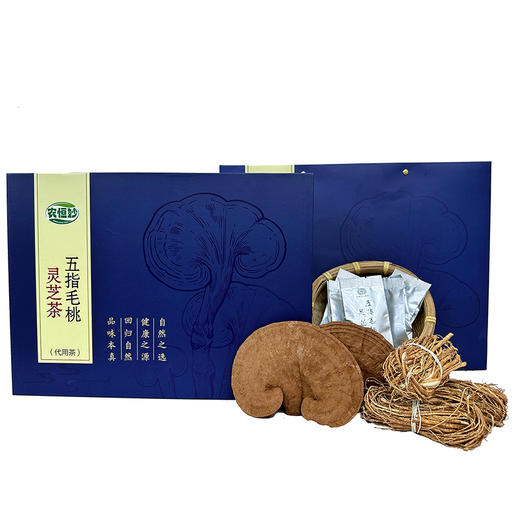 盛泰佳 五指毛桃灵芝茶礼盒装256g 商品图0