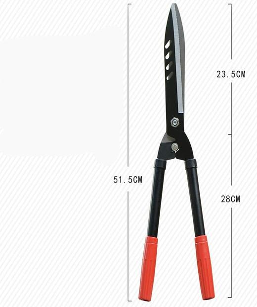 【仅限自提】出口品质 重型锰钢园艺剪刀 大号绿植花卉修枝剪刀 商品图5