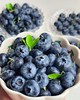 云南高山蓝莓L11（250g/ 500g/800g） 商品缩略图0