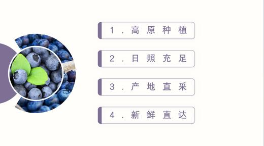 云南高山蓝莓L25花香蓝莓（400g  /800g） 商品图8
