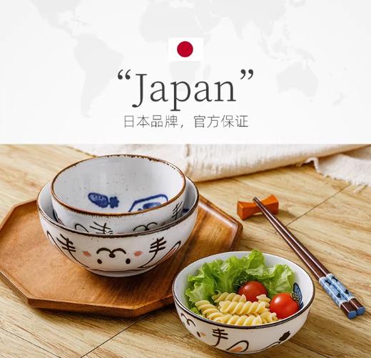 日本进口儿童餐具温馨兔8.3英寸深盘 商品图3