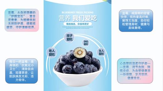 云南高山蓝莓L25花香蓝莓（400g  /800g） 商品图7