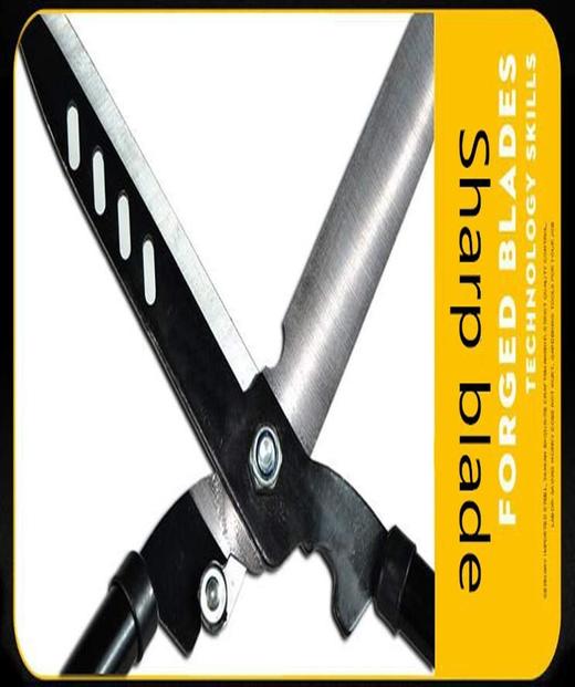 【仅限自提】出口品质 重型锰钢园艺剪刀 大号绿植花卉修枝剪刀 商品图3